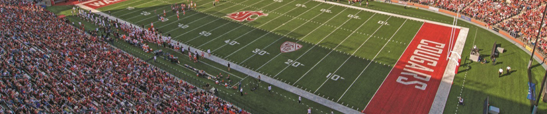 Banner with Overlay
